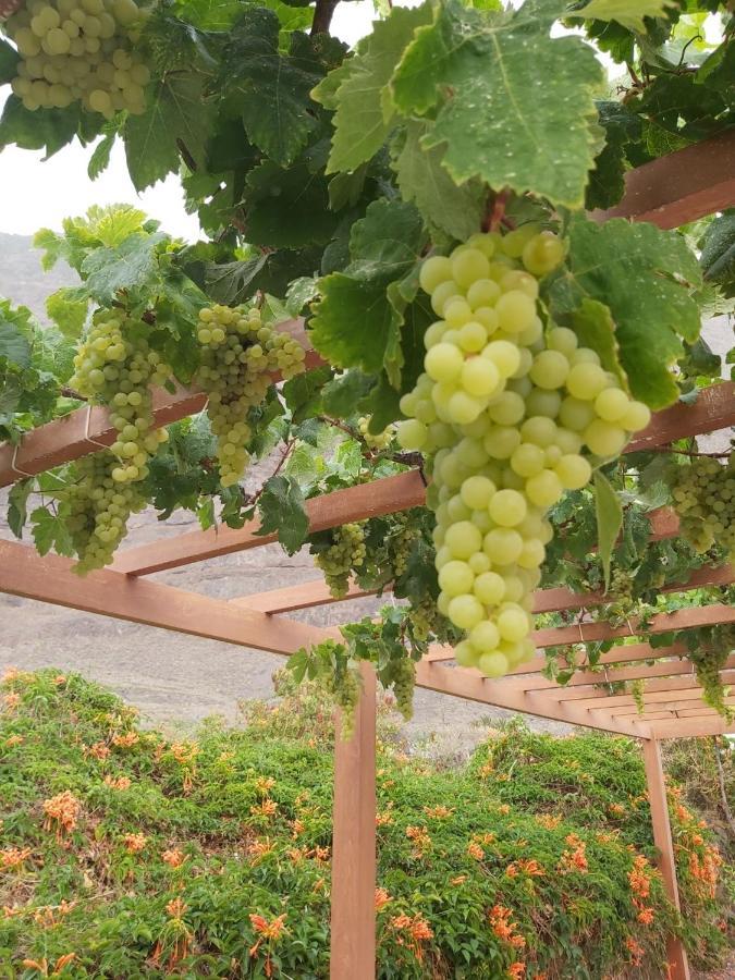 프론테라 Mi Jardin 빌라 외부 사진