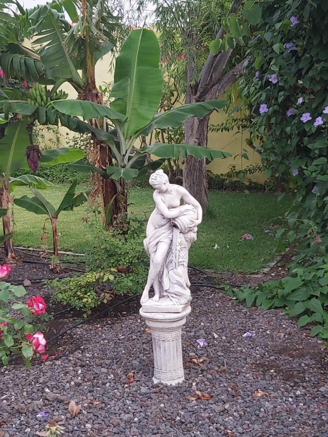 프론테라 Mi Jardin 빌라 외부 사진