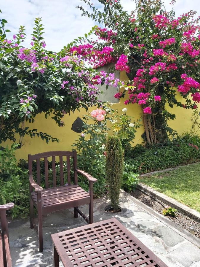프론테라 Mi Jardin 빌라 외부 사진