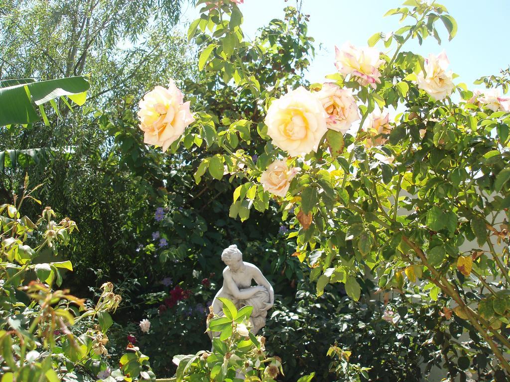 프론테라 Mi Jardin 빌라 외부 사진